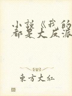 小说《我的徒弟都是大反派》