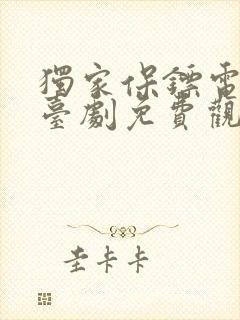 独家保镖电视剧台剧免费观看