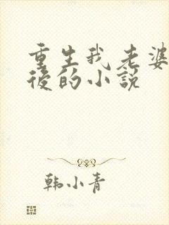 重生我老婆是天后的小说