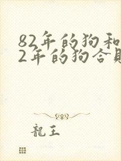 82年的狗和82年的狗合财吗
