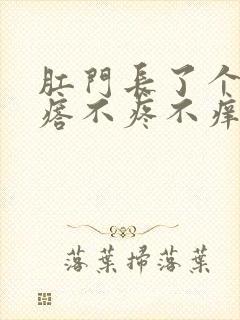 肛门长了个小疙瘩不疼不痒