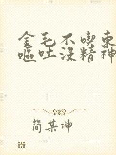 金毛不吃东西还呕吐没精神怎么办