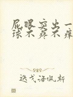 屁眼突出一个肉球不疼不痒