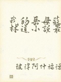 我的岳母苏沛真林道小说最新章节