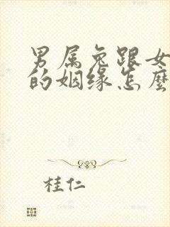 男属兔跟女属龙的姻缘怎么样