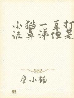 小猫一直打喷嚏流鼻涕但是精神很好封面