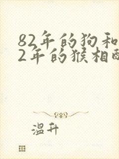 82年的狗和92年的猴相配婚姻如何