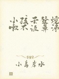 小孩子发烧不咳嗽不流鼻涕怎么回事