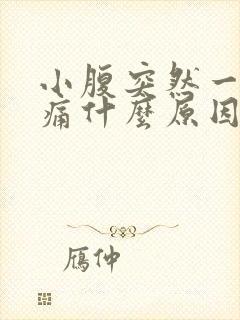 小腹突然一阵刺痛什么原因封面