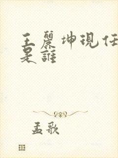 王丽坤现任丈夫是谁