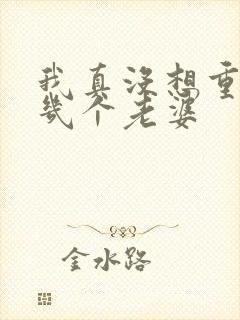 我真没想重生啊几个老婆