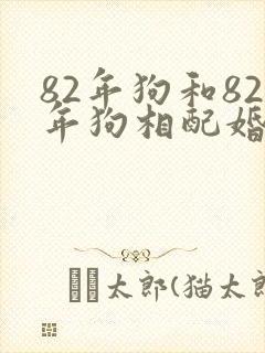 82年狗和82年狗相配婚姻如何