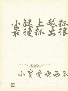 小腿上越抓越痒最后抓出很多小疙瘩