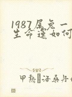 1987属兔一生命运如何