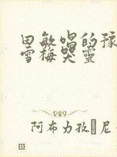 田敏唱的豫剧秦雪梅哭灵封面