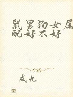 鼠男狗女属相婚配好不好
