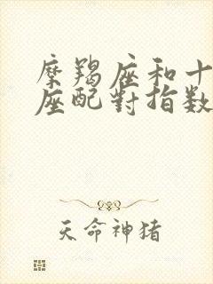 摩羯座和十二星座配对指数