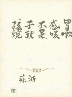 孩子不感冒不发烧就是咳嗽怎么回事