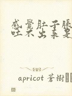 感觉肚子胀想吐吐不出来是怎么回事