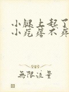 小腿上起了好多小疙瘩不疼不痒