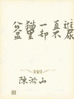 公猫一直进猫砂盆里却不尿什么情况