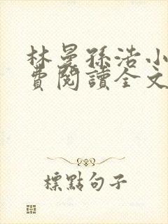 林曼孙浩小说免费阅读全文最新章节封面