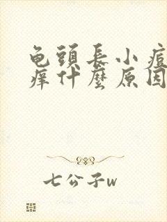 龟头长小痘痘很痒什么原因