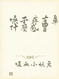 嗓子疼有鼻涕是什么感冒封面