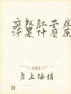 突然肚子疼冒冷汗是什么原因