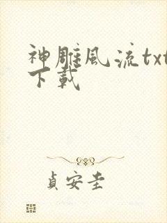 神雕风流txt下载