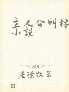 主人公叫林一的小说