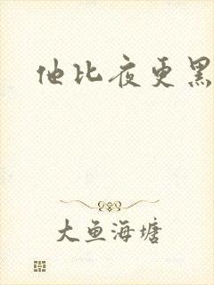 他比夜更黑封面