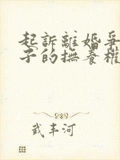 起诉离婚争取孩子的抚养权