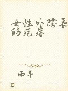 女性外阴长硬硬的疙瘩