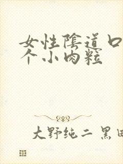 女性阴道口长一个小肉粒