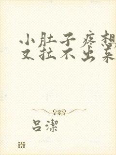 小肚子疼想大便又拉不出来怎么回事