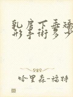 乳房下垂矫正整形手术多少钱