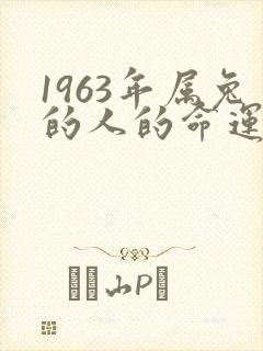 1963年属兔的人的命运如何