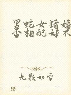 男蛇女猪婚姻是否相配好不好