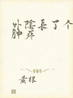 外阴长了个疙瘩肿疼