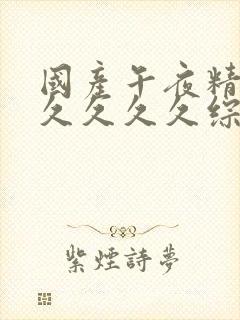 国产午夜精品久久久久久综合