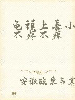 龟头上长小肉球不疼不痒