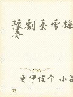 豫剧秦雪梅纯伴奏封面