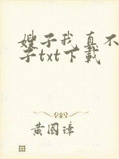 嫂子我真不是傻子txt下载