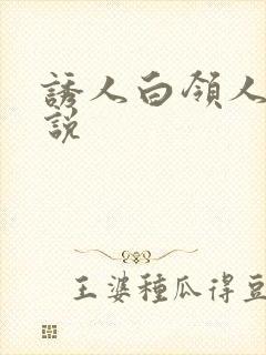 诱人白领人妻小说