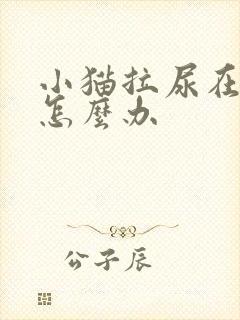 小猫拉尿在床上怎么办