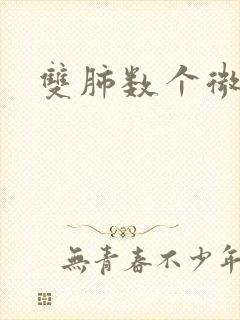 双肺数个微结节