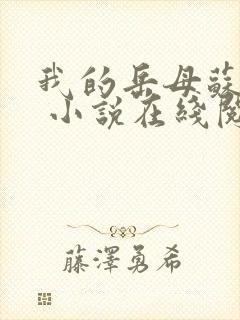 我的岳母苏沛真 小说在线阅读