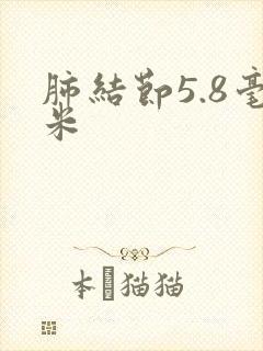 肺结节5.8毫米封面