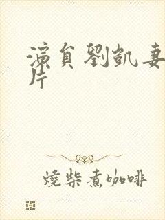 演员刘凯妻子照片